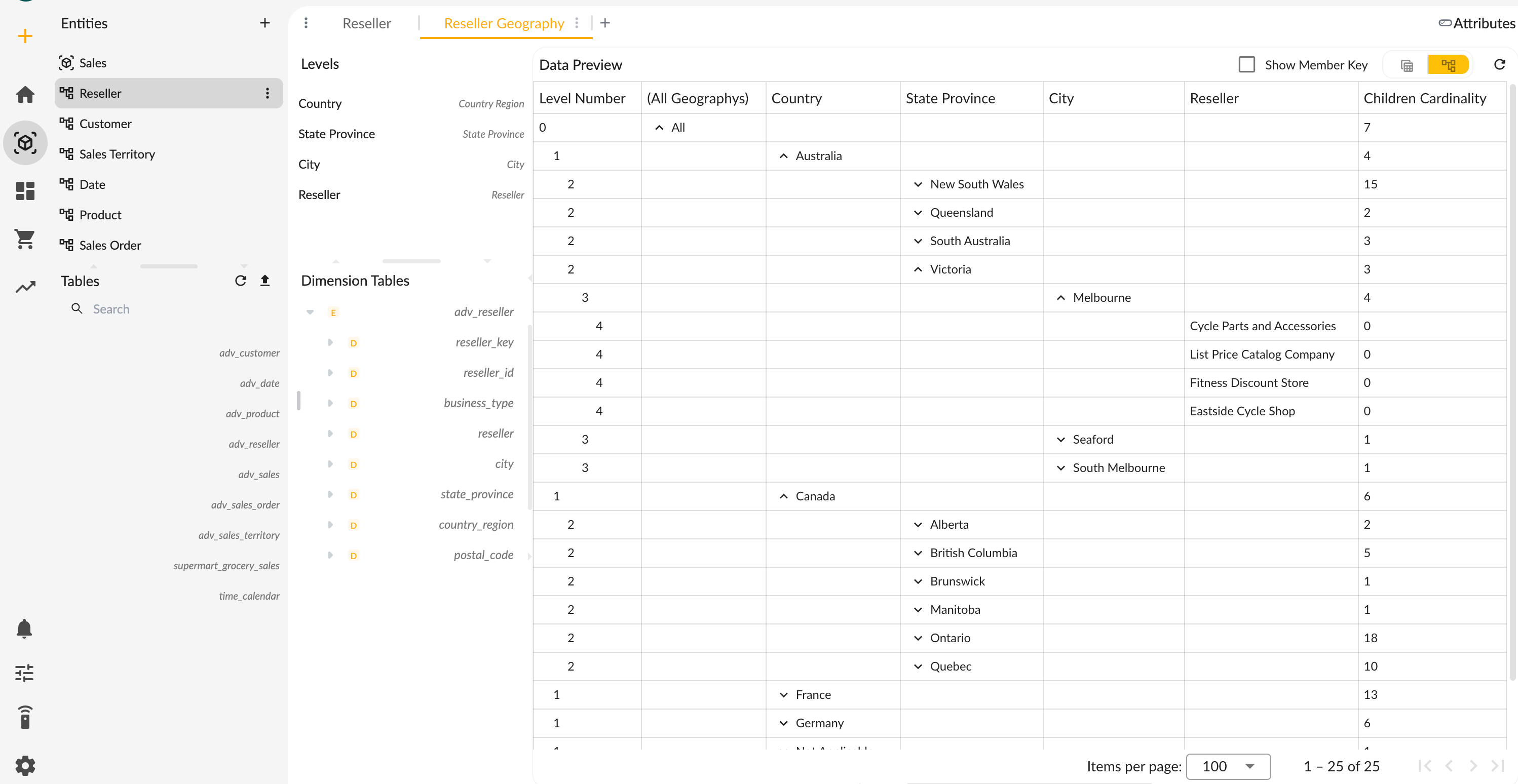 Dimension Members Preview Tree